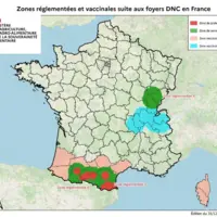 Légende photo