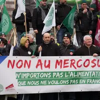 Plusieurs délégations départementales se sont déplacées jusqu'à Strasbourg pour défendre la production agricole.