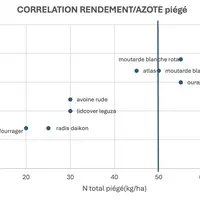 Graphique rendement/azote