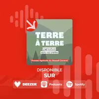 Visuel de "Terre à Terre", un podcast de la Presse Agricole du Massif Central