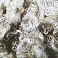 Close up of sheep wool texture