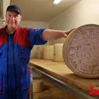 producteur de fromages dans une cave qui présente une fourme de salers AOP
