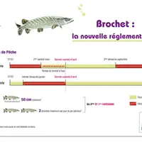 En 2026, la pêche au brochet sera ouverte à partir du 25 avril.