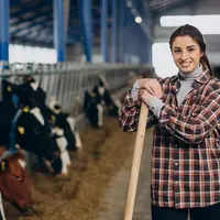 Woman cleaning up at the cowshed
