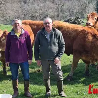 Deux éleveurs devant leur troupeau de race limousine, au pré.