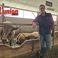 Un homme devant une rangée de vaches aubrac.