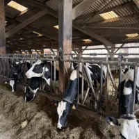 Une exploitation familiale de père en fils