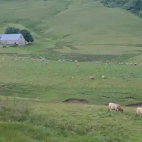 Les pâtures individuelles situées à plus de 25 km du siège d'exploitation sont soumises à déclaration obligatoire.