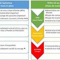 La gestion de l’infestation de printemps va conditionner la suite de la campagne. En cas de doute, une vérification estivale peut s’avérer nécessaire.