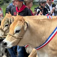 C'est bientôt la fête du Fin Gras !