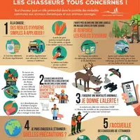 La faune sauvage peut être réservoir de maladies zoonotiques (tularémie par exemple) ou susceptibles d’infecter les animaux d’élevage, surtout les sui