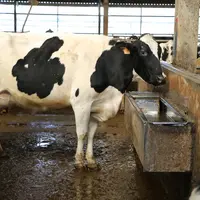 Attention, une eau limpide n’est pas forcément une eau de bonne qualité.