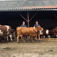 Laura Astier et son conjoint Fabien Tronchère avec leurs vaches.