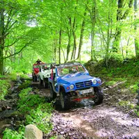 Des 4x4 dans la forêt.