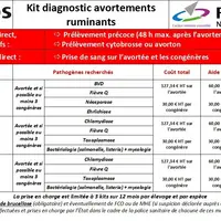 Un avortement doit être déclaré dès le premier animal en bovin et en cas d’avortements multiples sur les petits ruminants. Au-delà de cet aspect régle
