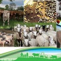 La FRGDS Nouvelle-Aquitaine a été reconduite comme Organisme à Vocation Sanitaire (OVS) pour le domaine animal pour la période 2025 – 2029. L’AG est l