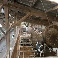 Les débits de ventilation doivent être maximisés en été, par l'ouverture de votre bâtiment et/ou par l'installation de ventilateurs.