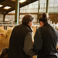 Le Gaec est l'une des formes sociétaires les plus répandues en agriculture.