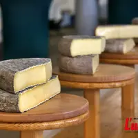 fromages saint-nectaire
