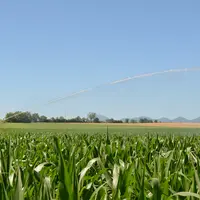 irrigation de maïs dans la plaine de la Limagne