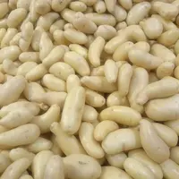 pommes de terre en vrac