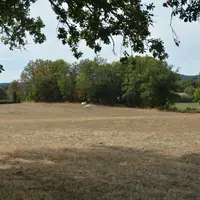 pré sec aux alentours de Guéret, été 2026