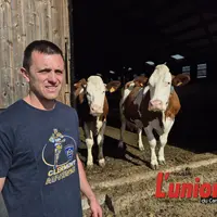 Un homme à gauche avec deux vaches en arrière-plan.
