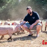 jeune éleveur de porcs plein air accroupi au milieu de ses animaux.