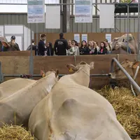 Depuis trois ans, les effectifs des établissements d'enseignement agricole progressent de 1%/an.