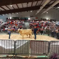 48e vente aux enchères Alsoni