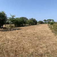 Prairies sèches
