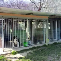 Le chien perçoit son chenil non comme une punition mais plutôt comme un refuge.