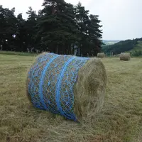 Dentelle sur botte de foin
