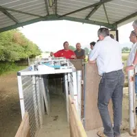 Le parc de tri de Fedatest a été conçu par l'Inra.