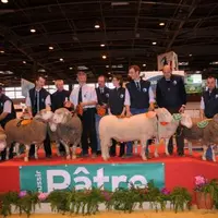 La race Ile-de-France, bien représentée au CGA, a aussi participé aux ovinpiades des jeunes bergers en offrant aux gagnants français et européen deux
