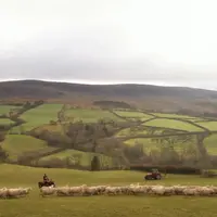 Les éleveurs ovins britanniques craignent les conséquences du Brexit.