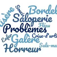 Spontanément, les éleveurs ont une évocation très négative du piétin. Le nuage des mots issus de leur verbatim le traduit bien…