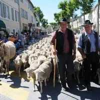 Les éleveurs organisateurs de la fête de Saint-Rémy de Provence en 2011
