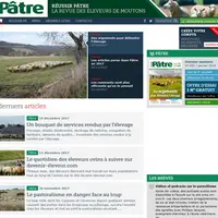 Le top 15 des articles de Pâtre.fr
