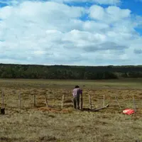 L'ouvrier agricole reste près du troupeau, prévient les attaques de chiens et vérifie les barrières.