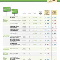 Indicateurs des prix de marchés de la filière ovine de juillet 2020