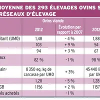 Évolution moyenne des 293 élevages ovins suivis par Inosys-réseaux d'élevage