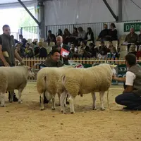 Concours Texel.