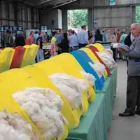le wool board en Grande-Bretagne