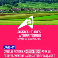 Covid-19 - Quelles actions à moyen terme pour le redressement de l'agriculture française ?
