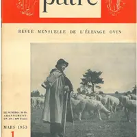 numéro un