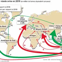 Flux mondiaux de viande ovine en 2019
