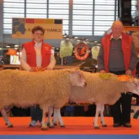 Palmarès complet du concours
