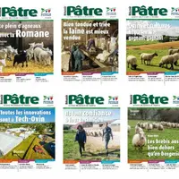 Les Unes de 2015
