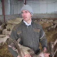 Dany Hulin cherche à valoriser ses 100 hectares d’herbe tout en limitant le temps de travail, surtout pendant la période d'agnelage. © CS Ovin Montmor